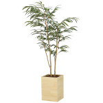 光触媒 人工観葉植物 造花 ウッドボックスショウナンゴム1.8 (高さ180cm) (2300A580)