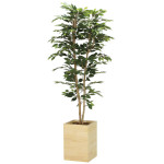 光触媒 人工観葉植物 造花 ウッドボックスベンジャミン1.8 (高さ180cm) (2301A520)