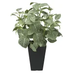 光触媒 人工観葉植物 造花 フィットニア(フロック加工) (高さ43cm) (230A50)