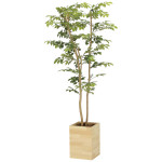光触媒 人工観葉植物 造花 ウッドボックスマウンテンアッシュ1.6 (高さ160cm) (2311P570)