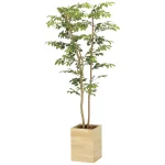 光触媒 人工観葉植物 造花 ウッドボックスマウンテンアッシュ1.6 (高さ160cm) (2311P570)