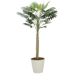 光触媒 人工観葉植物 造花 セローム1.8 (高さ180cm) (2312A300)
