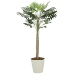 光触媒 人工観葉植物 造花 セローム1.8 (高さ180cm) (2312A300)