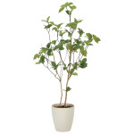 光触媒 人工観葉植物 造花 サラサドウダン1.2 (高さ120cm) (2323A210)