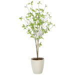 光触媒 人工観葉植物 造花 クロモジ1.2 (高さ120cm) (2324A200)