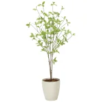 光触媒 人工観葉植物 造花 クロモジ
