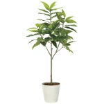 光触媒 人工観葉植物 造花 フレッシュユラニア1.6 (高さ160cm) (2325A400)