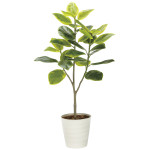 光触媒 人工観葉植物 造花 フレッシュアルテシマ1.35 (高さ135cm) (2332A310)