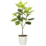 光触媒 人工観葉植物 造花 フレッシュアルテシマ1.65 (高さ165cm) (2333A350)