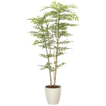 光触媒 人工観葉植物 造花 ソヨゴ