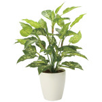 光触媒 人工観葉植物 造花 フレッシュディフェンバキアL (高さ70cm) (2353A85)
