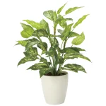 光触媒 人工観葉植物 造花 フレッシュディフェンバキアL (高さ70cm) (2353A85)