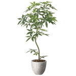 光触媒 人工観葉植物 造花 ナチュラルパキラ1.6 (高さ160cm) (2400P580)