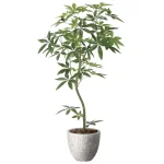光触媒 人工観葉植物 造花 ナチュラルパキラ1.6 (高さ160cm) (2400P580)