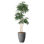 光触媒 人工観葉植物 造花 ナチュラルパキラ1.8 (高さ180cm) (2404P585)