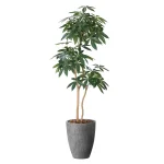 光触媒 人工観葉植物 造花 ナチュラルパキラ1.8 (高さ180cm) (2404P585)