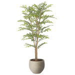 光触媒 人工観葉植物 造花 ナチュラルライトトネリコ1.1 (高さ110cm) (2410R280)