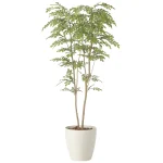 光触媒 人工観葉植物 造花 ライトトネリコ1.8 (高さ180cm) (2413P470)
