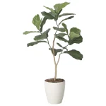 光触媒 人工観葉植物 造花 デザインカシワバゴム1.1 (高さ110cm) (2414A160)