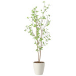 光触媒 人工観葉植物 造花 クロモジ1.6 (高さ160cm) (2415A260)