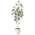 光触媒 人工観葉植物 造花 サラサドウダン1.6 (高さ160cm) (2416R300)