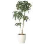 光触媒 人工観葉植物 造花 オリーブ・ショウナンゴム