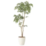 光触媒 人工観葉植物 造花 タイワンモミジ1.3 (高さ130cm) (2420A230)