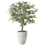 光触媒 人工観葉植物 造花 ナチュラルフィカスツリー1.5 (高さ150cm) (2424A590)