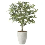光触媒 人工観葉植物 造花 ナチュラルフィカスツリー1.5 (高さ150cm) (2424A590)