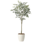 光触媒 人工観葉植物 造花 オリーブツリー1.7 (高さ170cm) (2426A310)