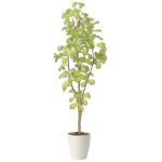 光触媒 人工観葉植物 造花 スリムバウヒニア1.5 (高さ150cm) (2429A240)