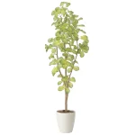 光触媒 人工観葉植物 造花 スリムバウヒニア1.5 (高さ150cm) (2429A240)