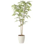 光触媒 人工観葉植物 造花 ライトトネリコ1.3 (高さ130cm) (2430R250)