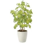 光触媒 人工観葉植物 造花 バウヒニア70 (高さ70cm) (2431A120)