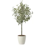 光触媒 人工観葉植物 造花 ユーカリツリー
