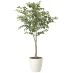 光触媒 人工観葉植物 造花 フィカスツリー