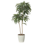 光触媒 人工観葉植物 造花 アムステルラバーキング1.6 (高さ160cm) (2439A430)