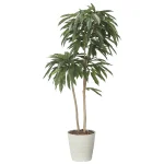 光触媒 人工観葉植物 造花 アムステルラバーキング1.6 (高さ160cm) (2439A430)