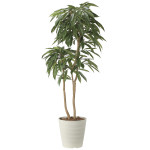 光触媒 人工観葉植物 造花 アムステルラバーキング1.8 (高さ180cm) (2440A500)