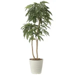 光触媒 人工観葉植物 造花 アムステルラバーキング