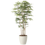 光触媒 人工観葉植物 造花 ツートントネリコ1.8 (高さ180cm) (2443A650)