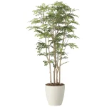 光触媒 人工観葉植物 造花 ツートントネリコ1.8 (高さ180cm) (2443A650)