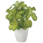 光触媒 人工観葉植物 造花 バウヒニア (高さ40cm) (2446A60)