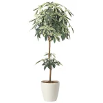 光触媒 人工観葉植物 造花 ミルキーパキラ