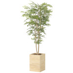 光触媒 人工観葉植物 造花 ウッドボックストネリコミックス1.8 (高さ180cm) (2457A620)