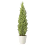 光触媒 人工観葉植物 造花 ゴールドクレスト1.35(ポリ製) (高さ135cm) (2467A400)