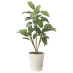 光触媒 人工観葉植物 造花 フィロ90 (高さ90cm) (2490R80)