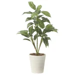 光触媒 人工観葉植物 造花 フィロ90 (高さ90cm) (2490R80)