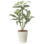 光触媒 人工観葉植物 造花 ディフェンバキア90 (高さ90cm) (2491R80)