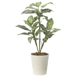 光触媒 人工観葉植物 造花 ディフェンバキア90 (高さ90cm) (2491R80)